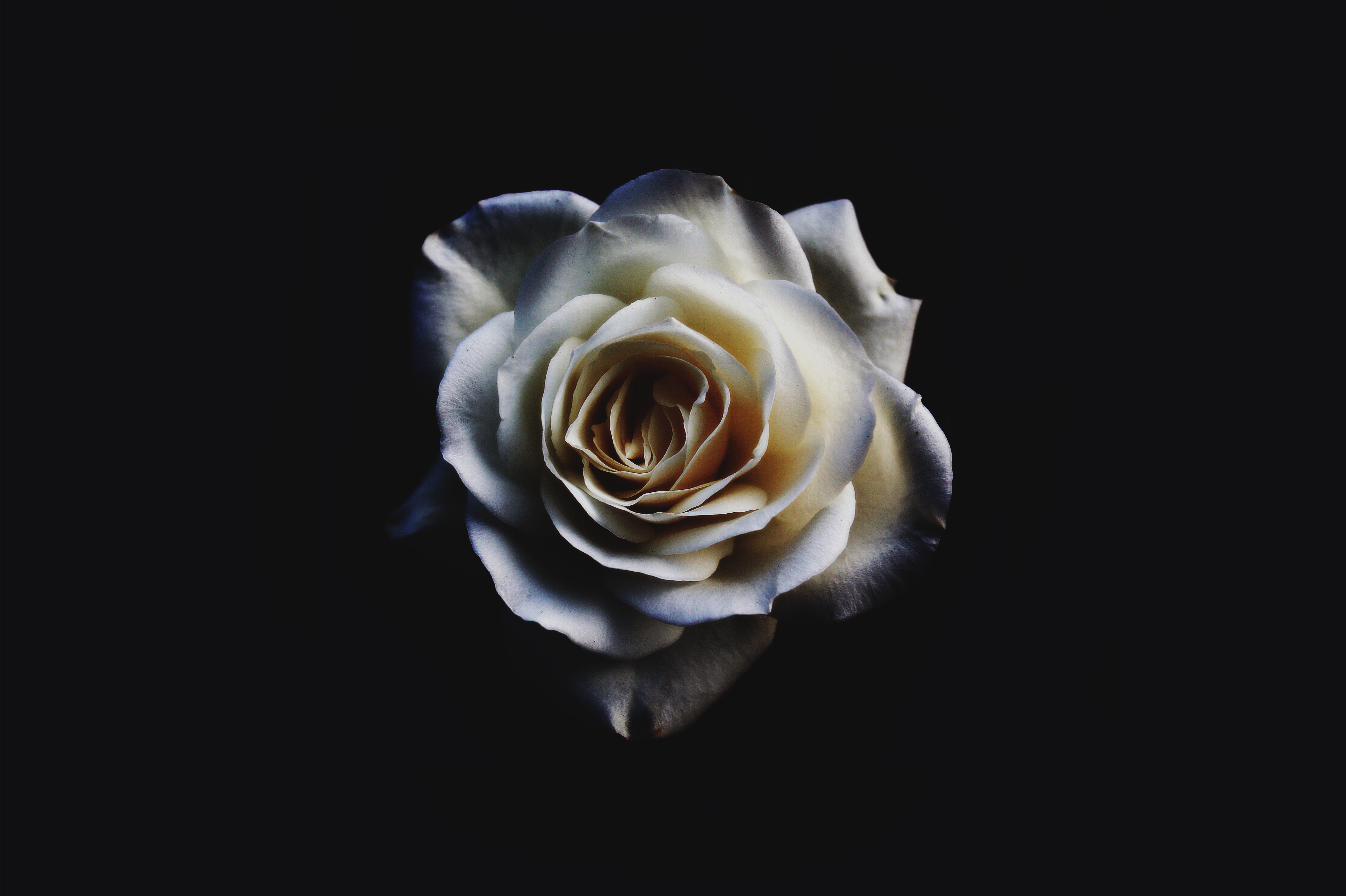 Profile Picture of ahyancl123