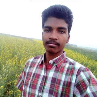 Profile Picture of limonshekhq1142