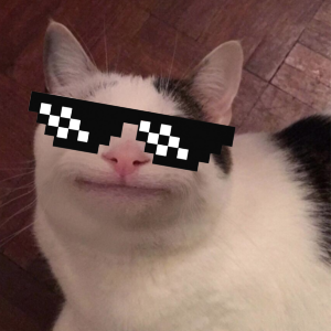 Profile Picture of gdgshhdhdhdh