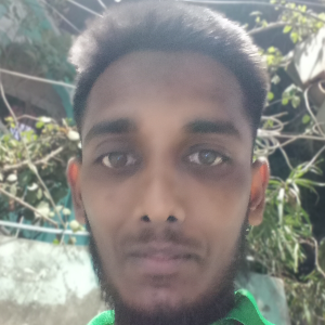 Profile Picture of shourabsarkar8