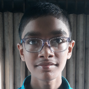 Profile Picture of sarkarprangshu