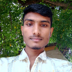 Profile Picture of raihan3044bd