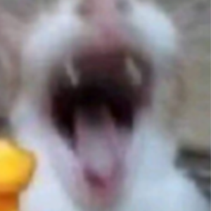 Profile Picture of Mathnoob