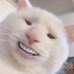 Profile Picture of onceilovesabnaj