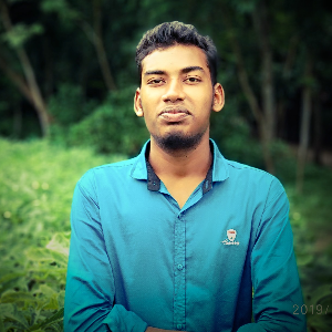 Profile Picture of mdarafathossensojib